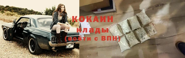 ПСИЛОЦИБИНОВЫЕ ГРИБЫ Бородино