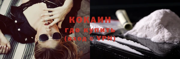 ПСИЛОЦИБИНОВЫЕ ГРИБЫ Бородино