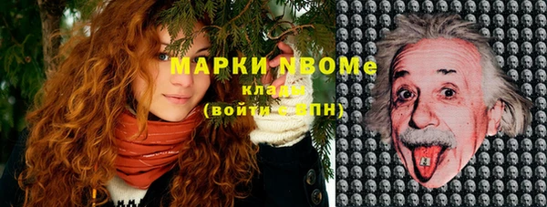 ПСИЛОЦИБИНОВЫЕ ГРИБЫ Бородино
