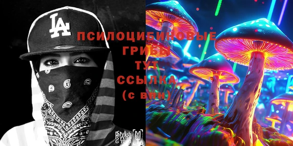 ПСИЛОЦИБИНОВЫЕ ГРИБЫ Бородино